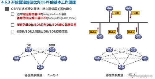 计算机网络 网络层 开放最短路径优先OSPF